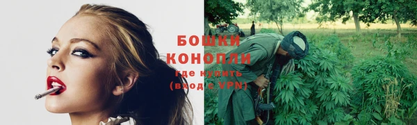 стафф Вяземский