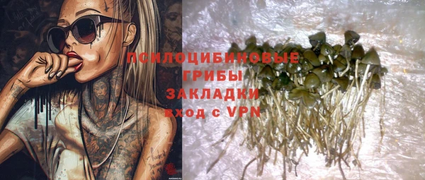 стафф Вяземский