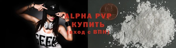 стафф Вяземский