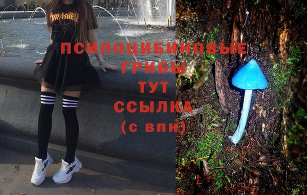 дмт Вязники