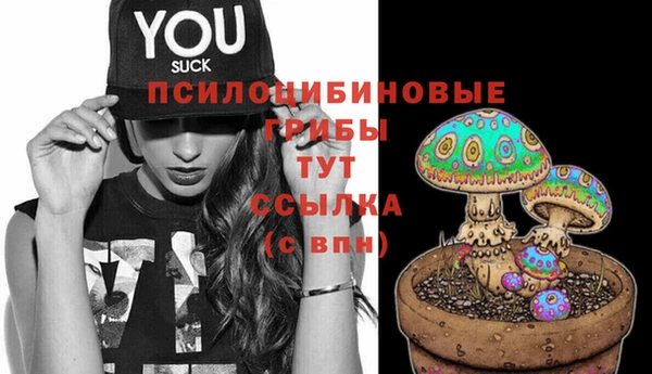стафф Вяземский